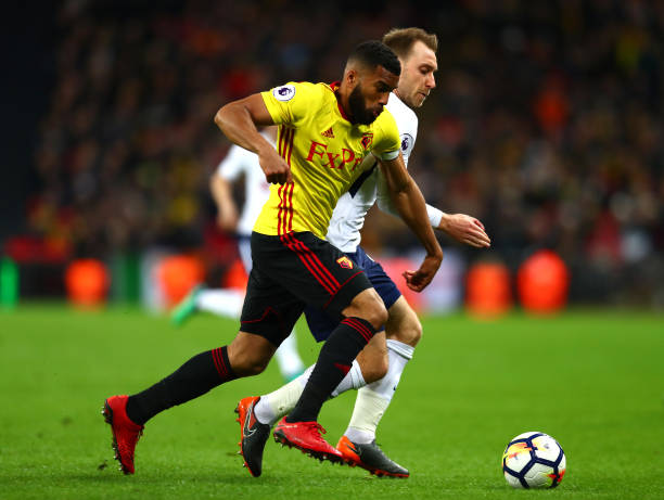 与潜力的新 与潜力的新